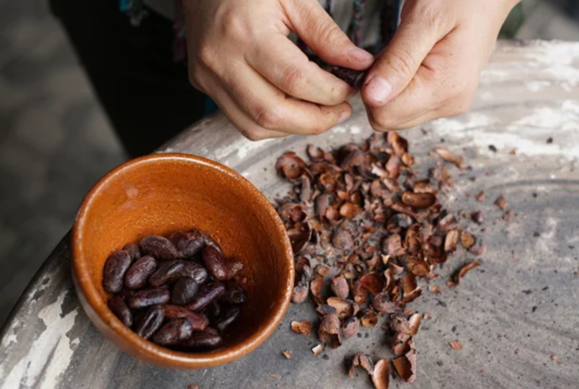 Atelier sur le cacao